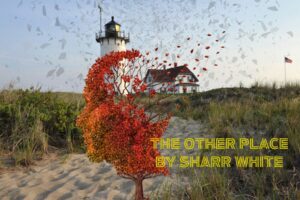 Show logo for The Other Place: A landscape rectangle with a photo of a beach with a blue sky. In the background is a white lighthouse and in the foreground is a tree with red leaves. The leaves are blowing off the tree. In the bottom right corner it says The Other Place by Sharr white in yellow font.